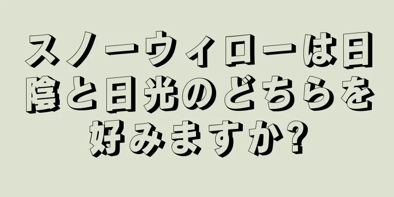 スノーウィローは日陰と日光のどちらを好みますか?