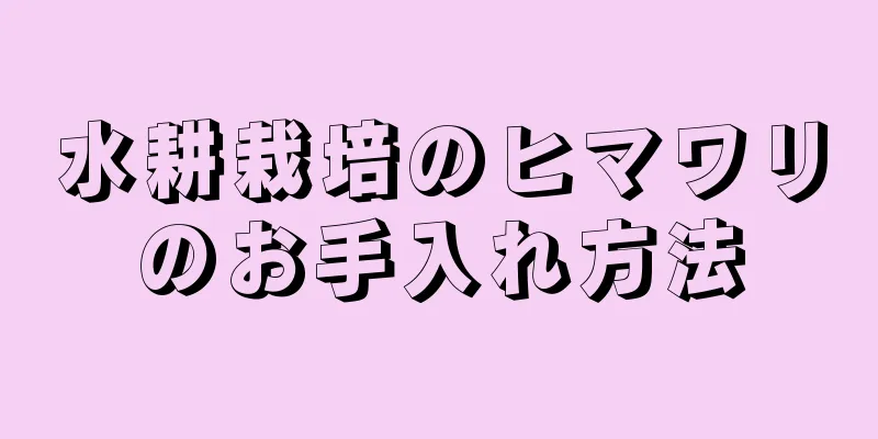水耕栽培のヒマワリのお手入れ方法