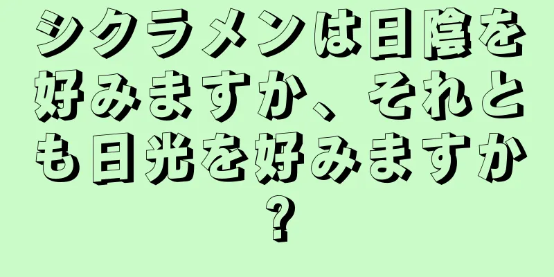 シクラメンは日陰を好みますか、それとも日光を好みますか?