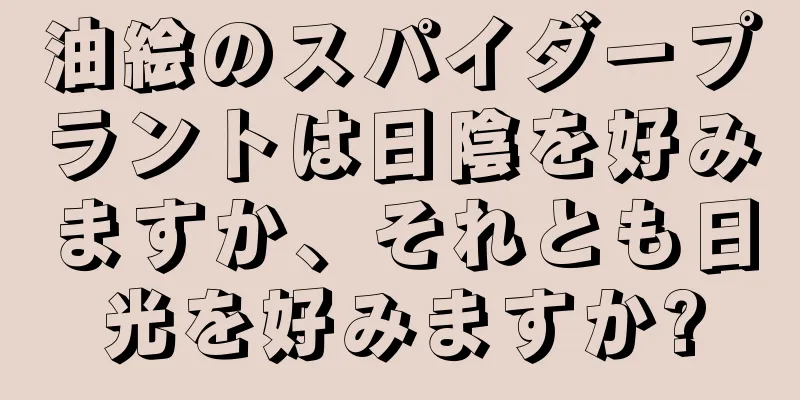 油絵のスパイダープラントは日陰を好みますか、それとも日光を好みますか?