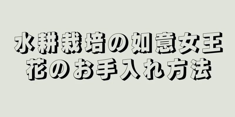 水耕栽培の如意女王花のお手入れ方法