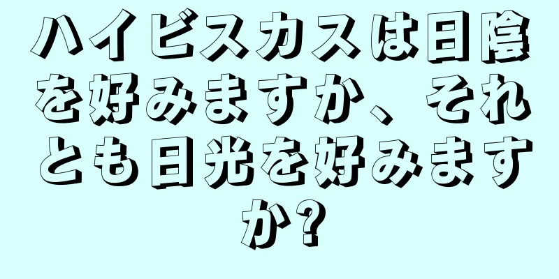 ハイビスカスは日陰を好みますか、それとも日光を好みますか?