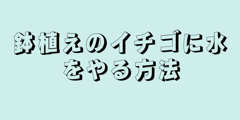 鉢植えのイチゴに水をやる方法