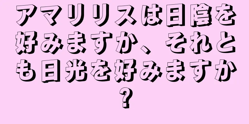 アマリリスは日陰を好みますか、それとも日光を好みますか?