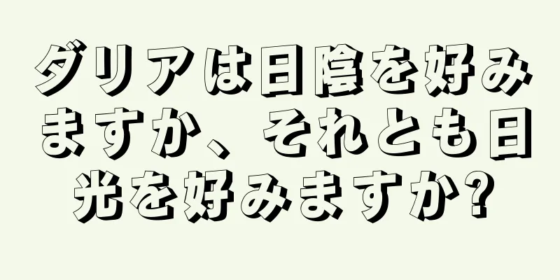 ダリアは日陰を好みますか、それとも日光を好みますか?