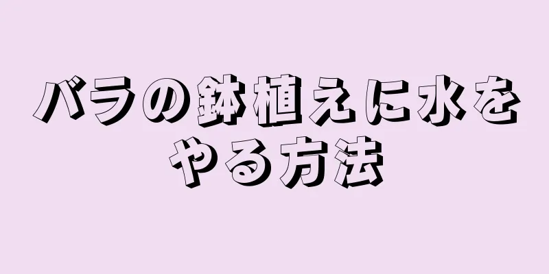 バラの鉢植えに水をやる方法