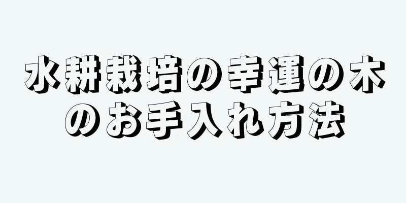 水耕栽培の幸運の木のお手入れ方法