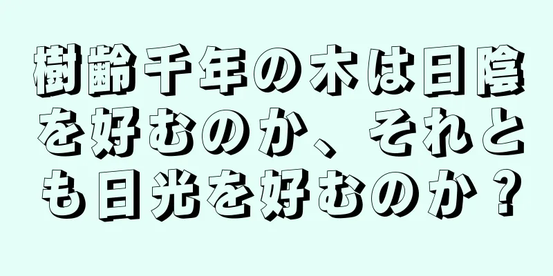 樹齢千年の木は日陰を好むのか、それとも日光を好むのか？