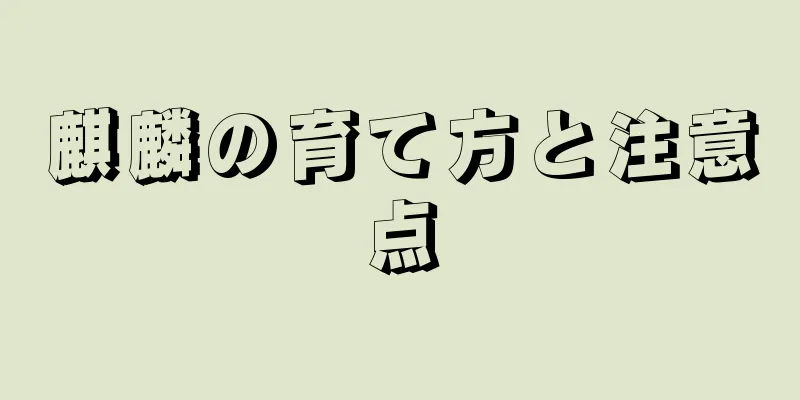 麒麟の育て方と注意点
