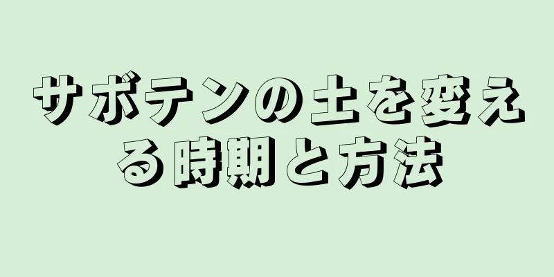 サボテンの土を変える時期と方法