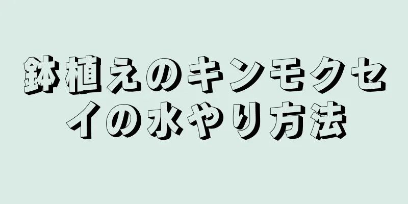 鉢植えのキンモクセイの水やり方法