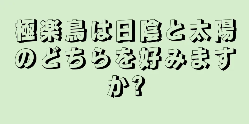 極楽鳥は日陰と太陽のどちらを好みますか?
