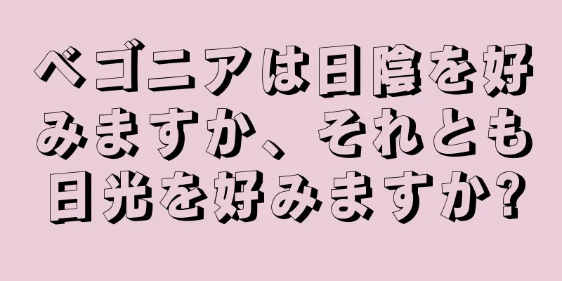 ベゴニアは日陰を好みますか、それとも日光を好みますか?