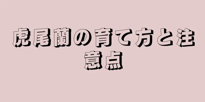 虎尾蘭の育て方と注意点