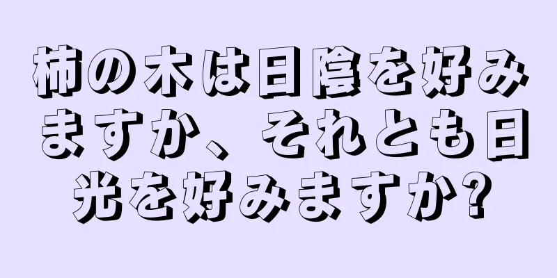 柿の木は日陰を好みますか、それとも日光を好みますか?