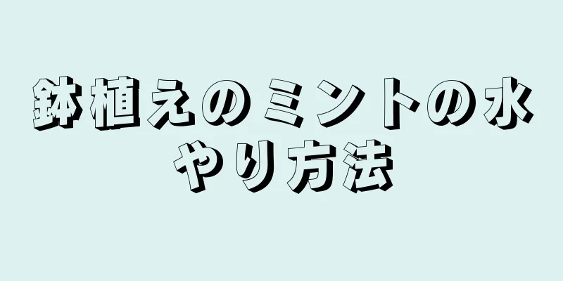 鉢植えのミントの水やり方法