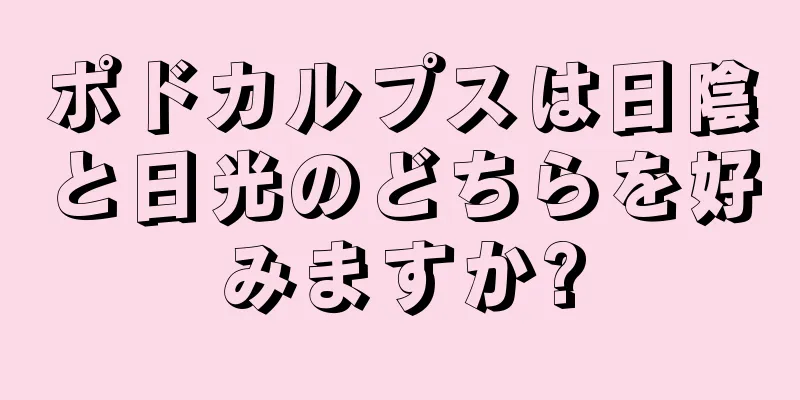 ポドカルプスは日陰と日光のどちらを好みますか?