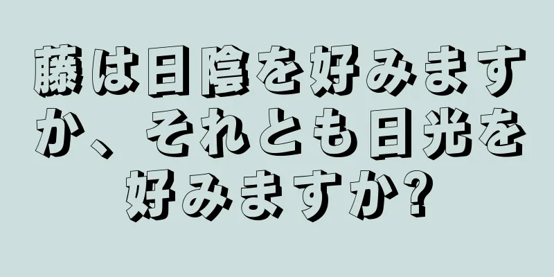 藤は日陰を好みますか、それとも日光を好みますか?