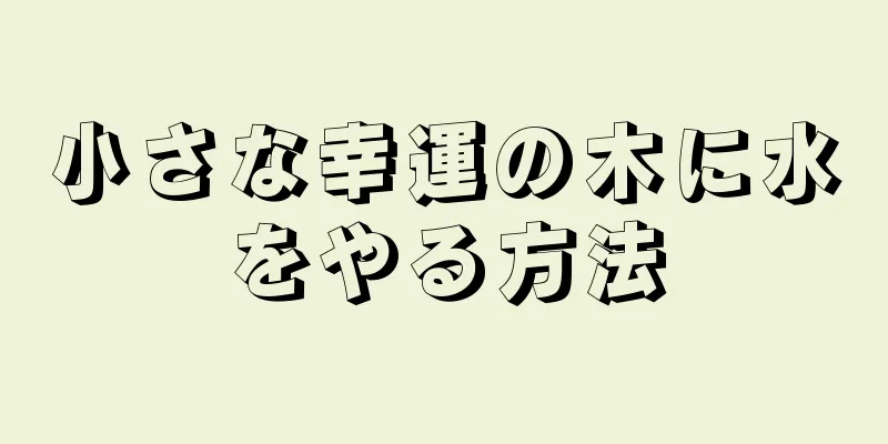 小さな幸運の木に水をやる方法