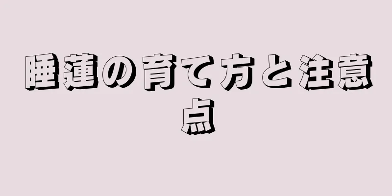 睡蓮の育て方と注意点