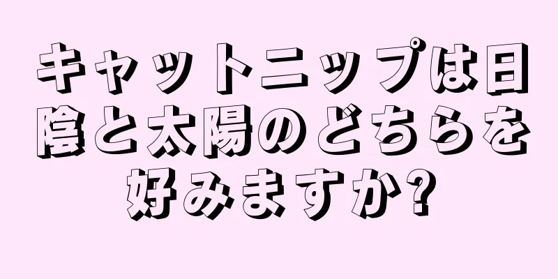 キャットニップは日陰と太陽のどちらを好みますか?