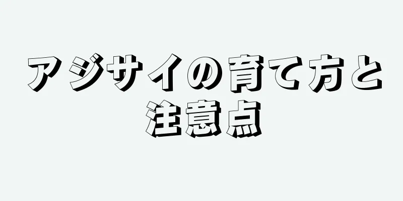 アジサイの育て方と注意点