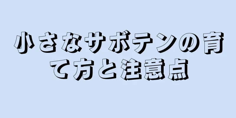小さなサボテンの育て方と注意点