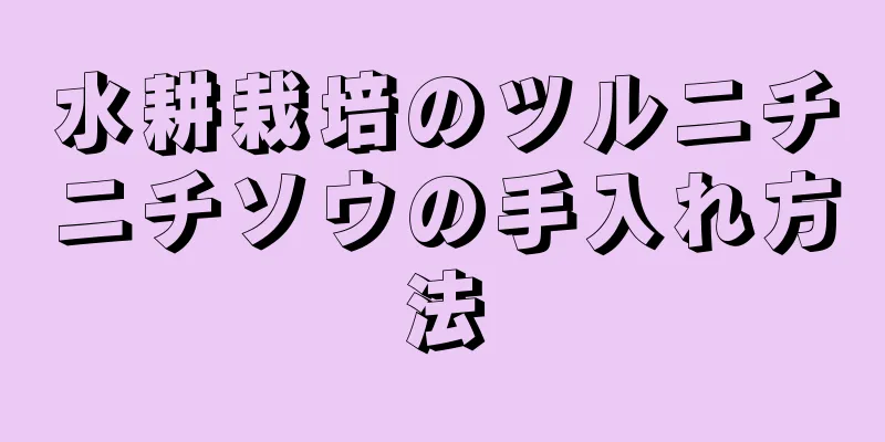 水耕栽培のツルニチニチソウの手入れ方法