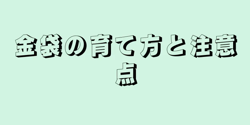 金袋の育て方と注意点