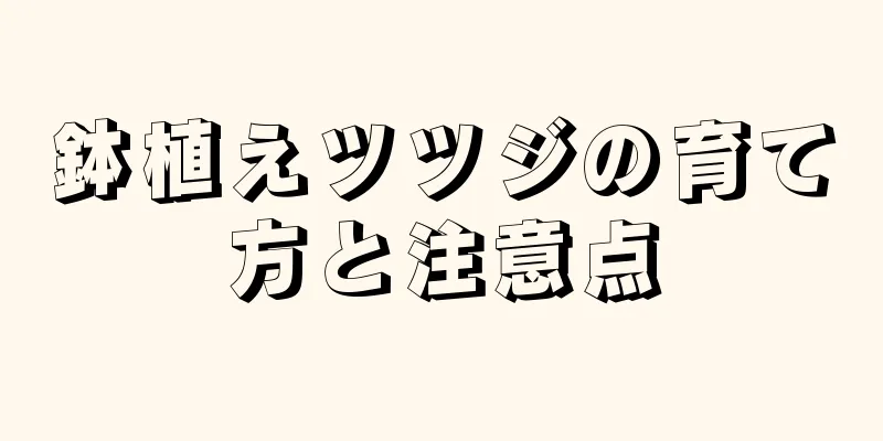 鉢植えツツジの育て方と注意点