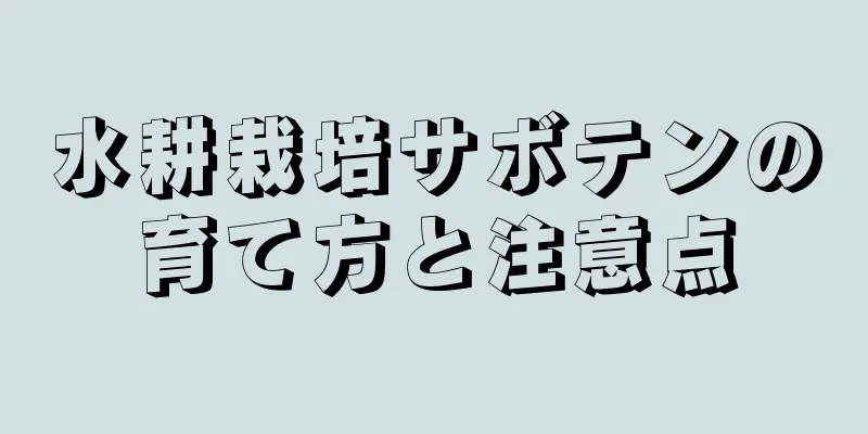 水耕栽培サボテンの育て方と注意点