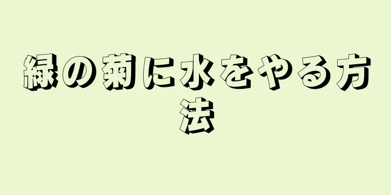 緑の菊に水をやる方法
