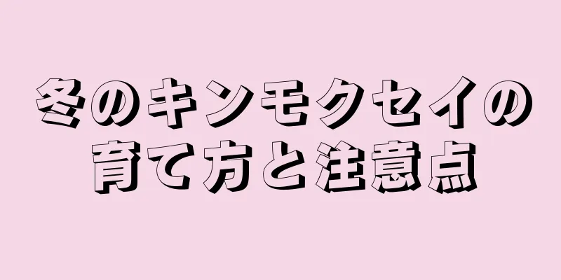 冬のキンモクセイの育て方と注意点