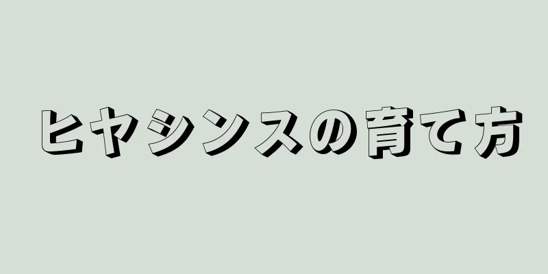 ヒヤシンスの育て方