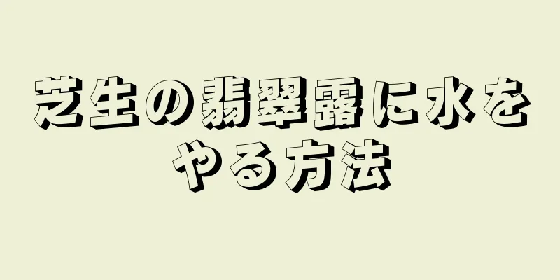 芝生の翡翠露に水をやる方法