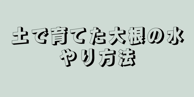 土で育てた大根の水やり方法