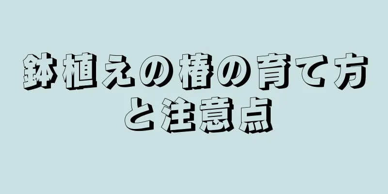 鉢植えの椿の育て方と注意点