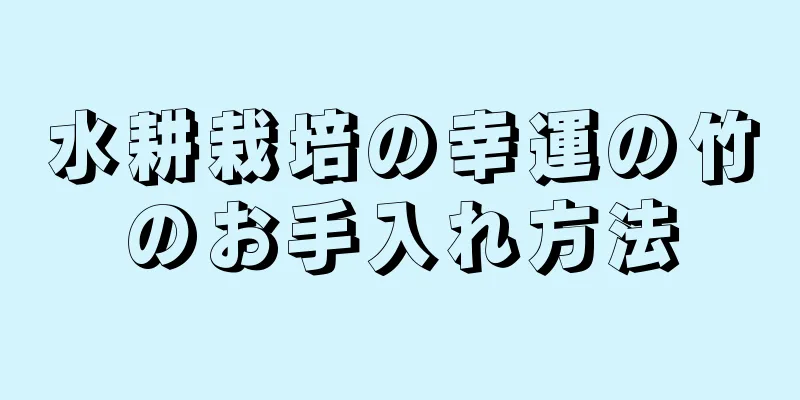 水耕栽培の幸運の竹のお手入れ方法