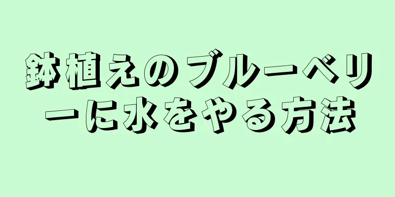 鉢植えのブルーベリーに水をやる方法