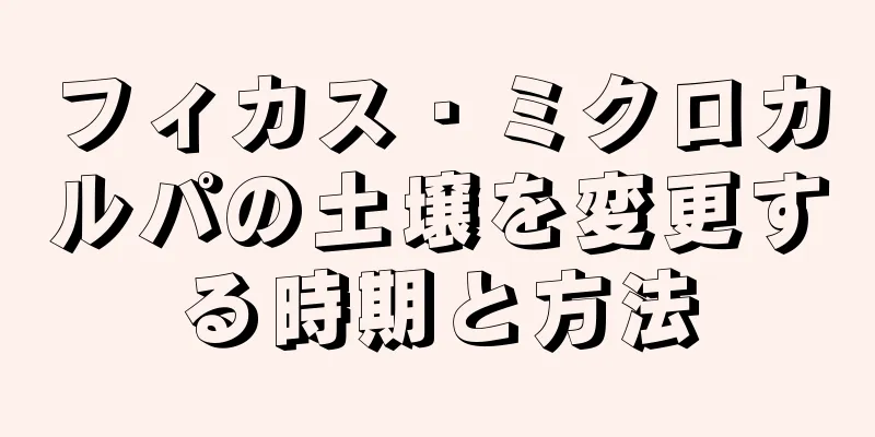 フィカス・ミクロカルパの土壌を変更する時期と方法