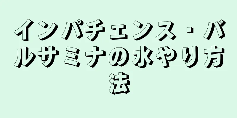 インパチェンス・バルサミナの水やり方法
