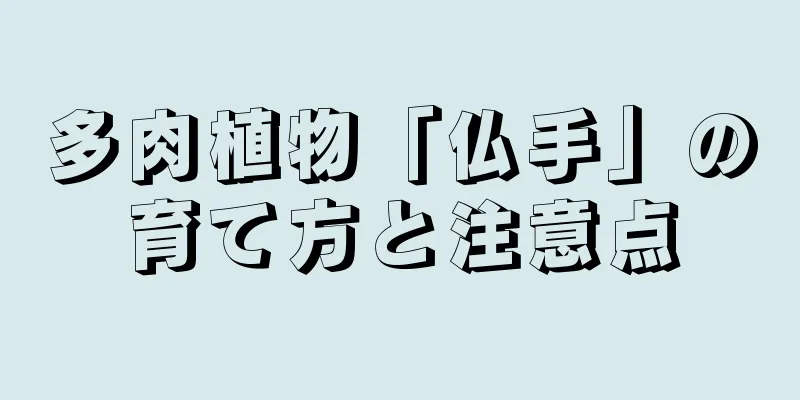 多肉植物「仏手」の育て方と注意点