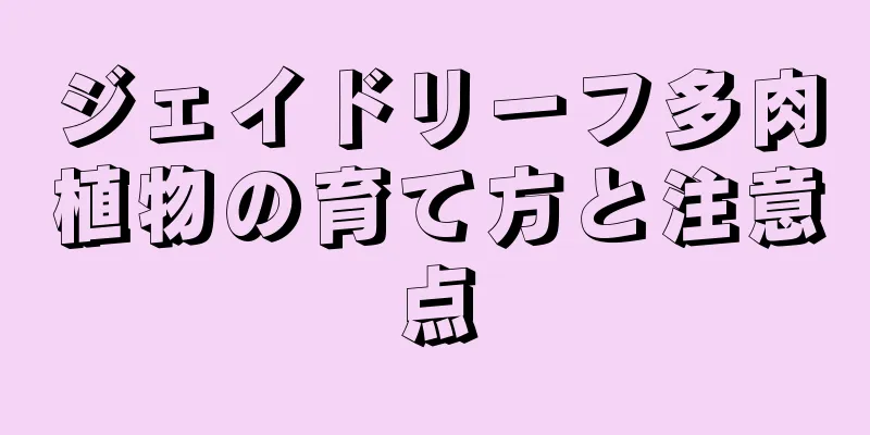 ジェイドリーフ多肉植物の育て方と注意点