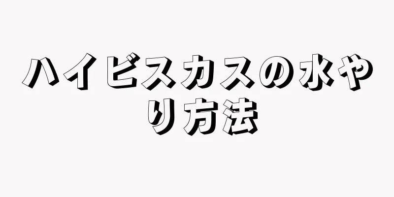 ハイビスカスの水やり方法