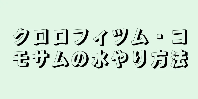 クロロフィツム・コモサムの水やり方法