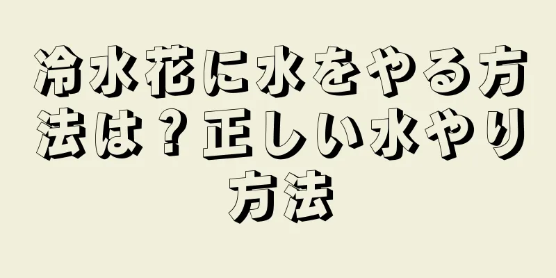 冷水花に水をやる方法は？正しい水やり方法
