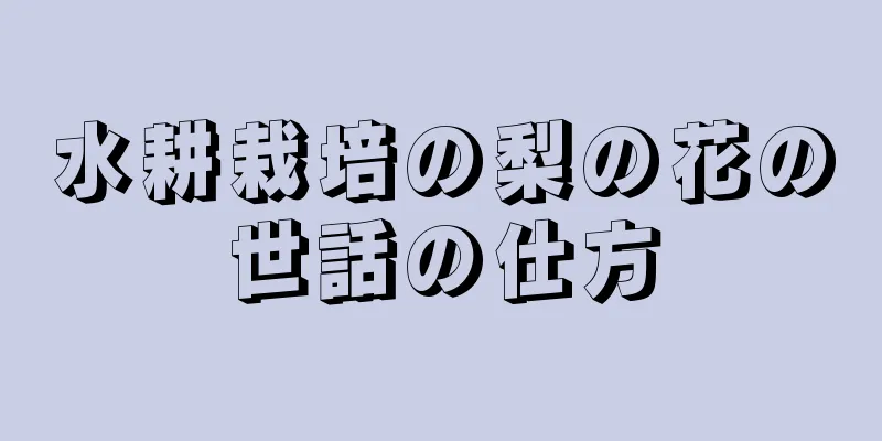 水耕栽培の梨の花の世話の仕方