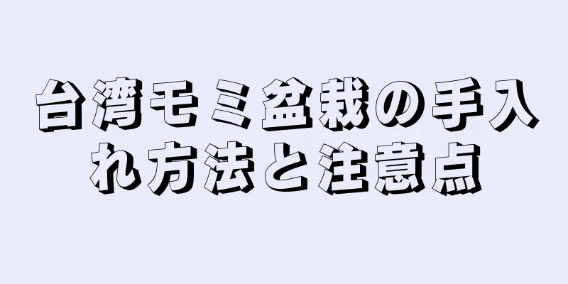 台湾モミ盆栽の手入れ方法と注意点