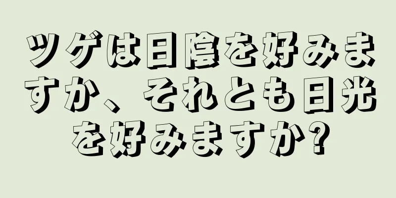 ツゲは日陰を好みますか、それとも日光を好みますか?