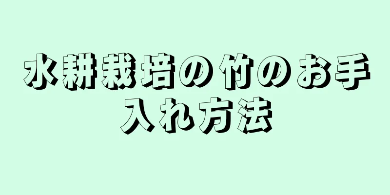 水耕栽培の竹のお手入れ方法